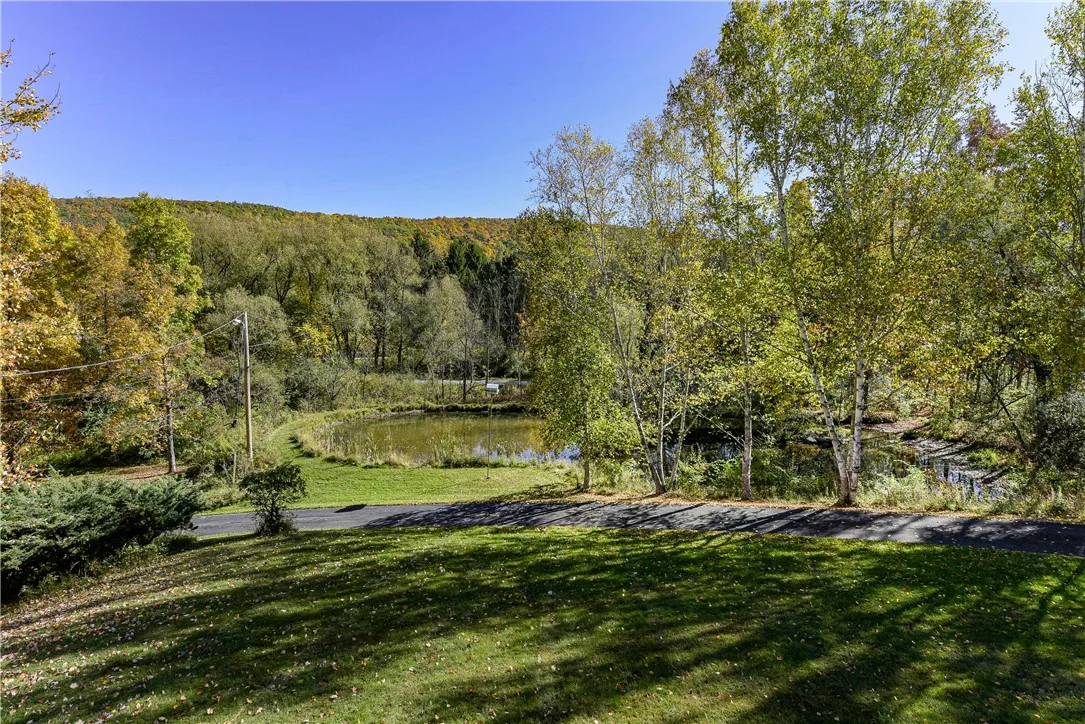 Driveway and Pond