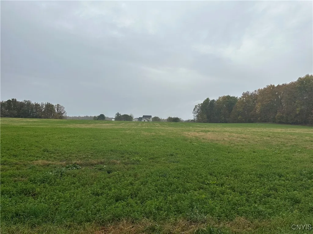 Stokes Lee Center Road, Lee, New York 13440, Lee, New York 13440, ,Land,For Sale,Stokes Lee Center Road, Lee, New York 13440,0,S1644815