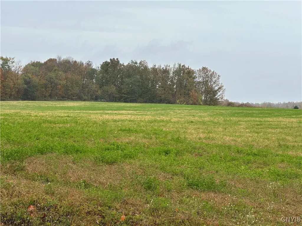 Stokes Lee Center Road, Lee, New York 13440, Lee, New York 13440, ,Land,For Sale,Stokes Lee Center Road, Lee, New York 13440,0,S1644815