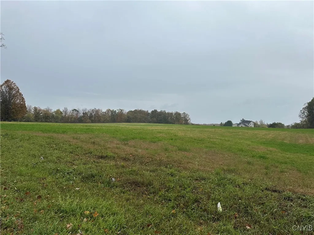 Stokes Lee Center Road, Lee, New York 13440, Lee, New York 13440, ,Land,For Sale,Stokes Lee Center Road, Lee, New York 13440,0,S1644815