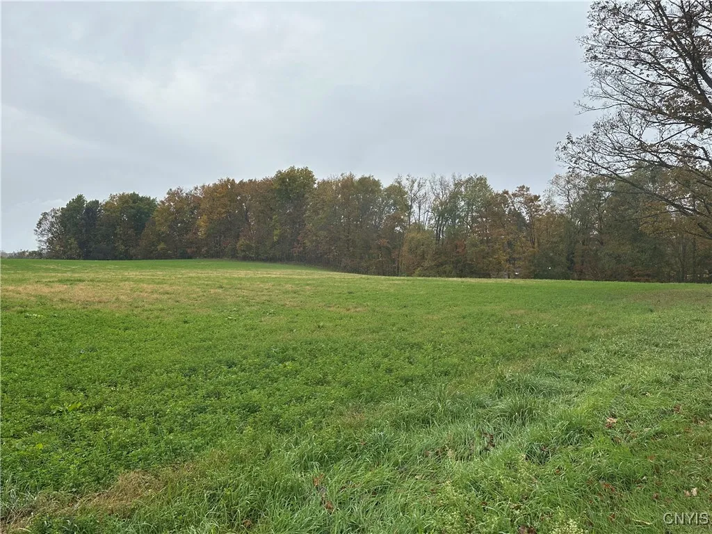 Stokes Lee Center Road, Lee, New York 13440, Lee, New York 13440, ,Land,For Sale,Stokes Lee Center Road, Lee, New York 13440,0,S1644815