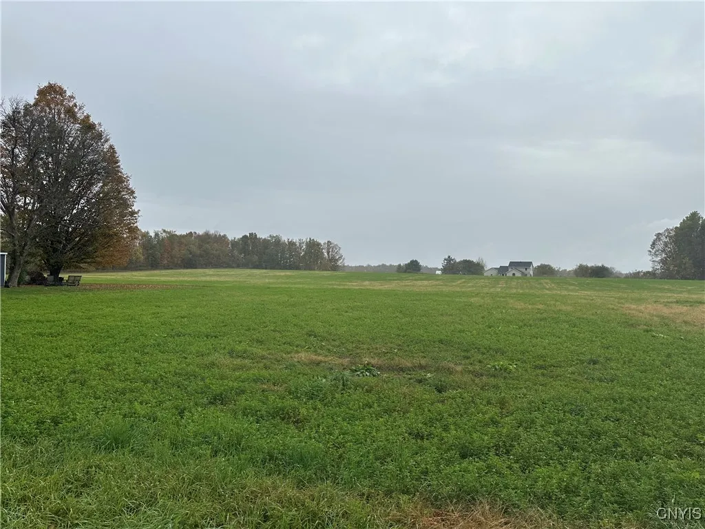 Stokes Lee Center Road, Lee, New York 13440, Lee, New York 13440, ,Land,For Sale,Stokes Lee Center Road, Lee, New York 13440,0,S1644815