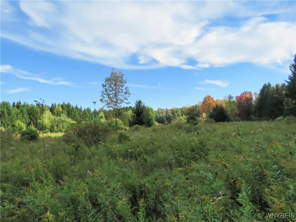 11303 Holland Glenwood Road, Holland, New York 140, Holland, New York 14080, ,Land,For Sale,11303 Holland Glenwood Road, Holland, New York 140,0,B1644742