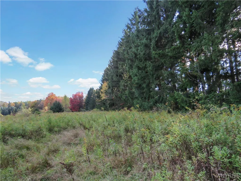11303 Holland Glenwood Road, Holland, New York 140, Holland, New York 14080, ,Land,For Sale,11303 Holland Glenwood Road, Holland, New York 140,0,B1644742