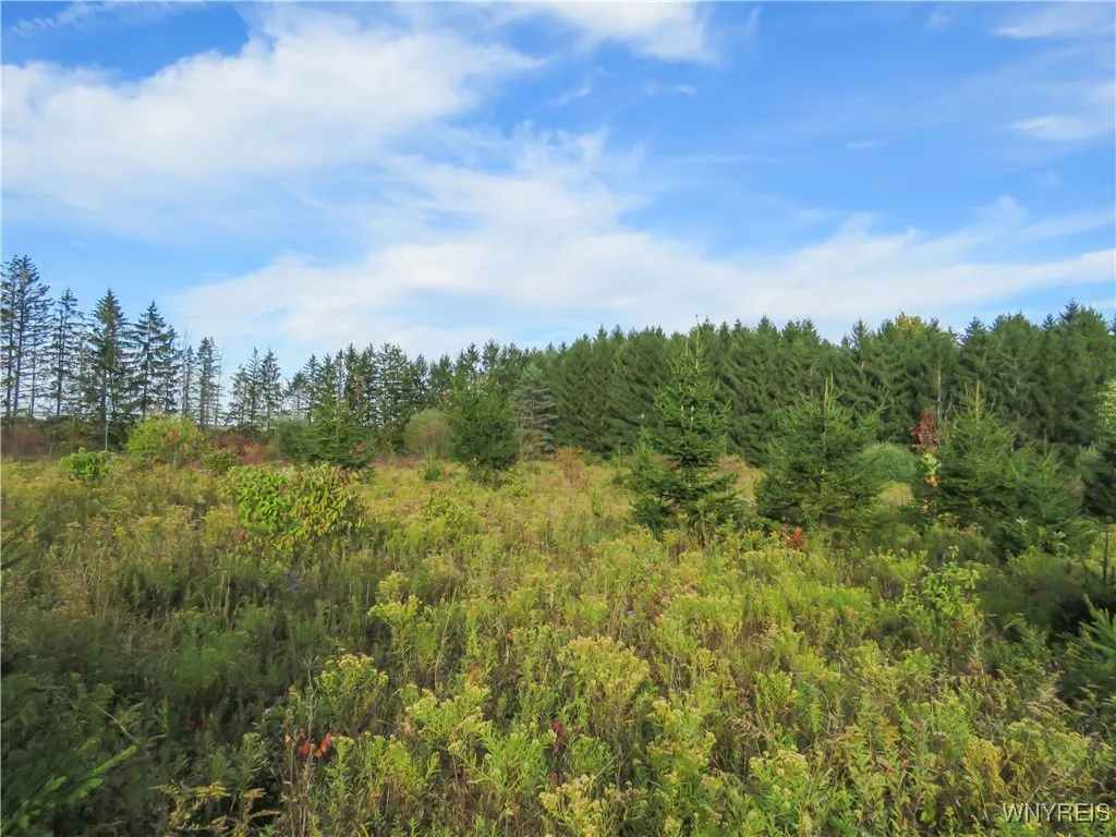 11303 Holland Glenwood Road, Holland, New York 140, Holland, New York 14080, ,Land,For Sale,11303 Holland Glenwood Road, Holland, New York 140,0,B1644742