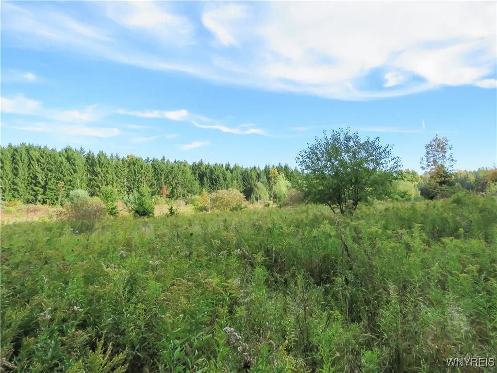 11303 Holland Glenwood Road, Holland, New York 140, Holland, New York 14080, ,Land,For Sale,11303 Holland Glenwood Road, Holland, New York 140,0,B1644742