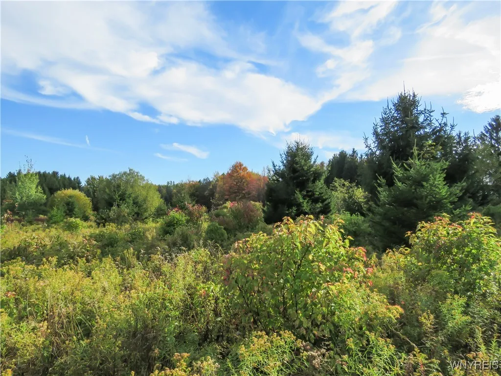11303 Holland Glenwood Road, Holland, New York 140, Holland, New York 14080, ,Land,For Sale,11303 Holland Glenwood Road, Holland, New York 140,0,B1644742