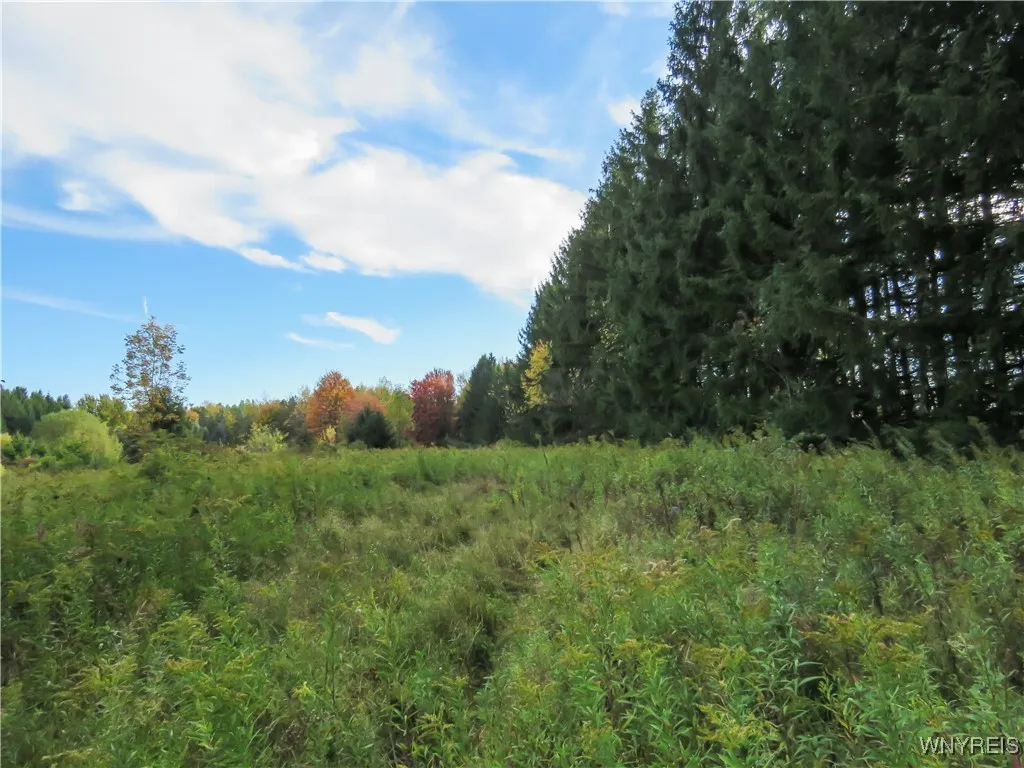 11303 Holland Glenwood Road, Holland, New York 140, Holland, New York 14080, ,Land,For Sale,11303 Holland Glenwood Road, Holland, New York 140,0,B1644742