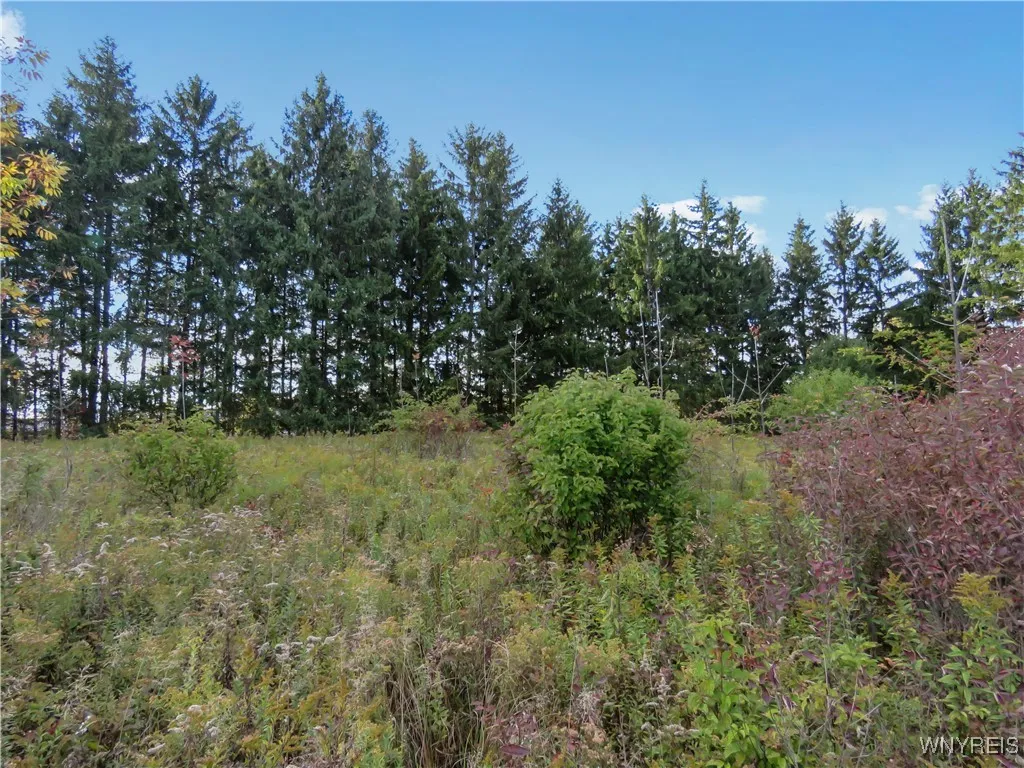 11303 Holland Glenwood Road, Holland, New York 140, Holland, New York 14080, ,Land,For Sale,11303 Holland Glenwood Road, Holland, New York 140,0,B1644742