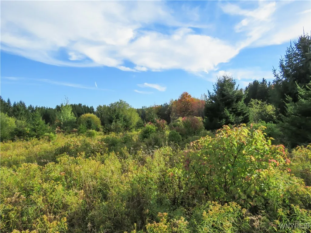 11303 Holland Glenwood Road, Holland, New York 140, Holland, New York 14080, ,Land,For Sale,11303 Holland Glenwood Road, Holland, New York 140,0,B1644742