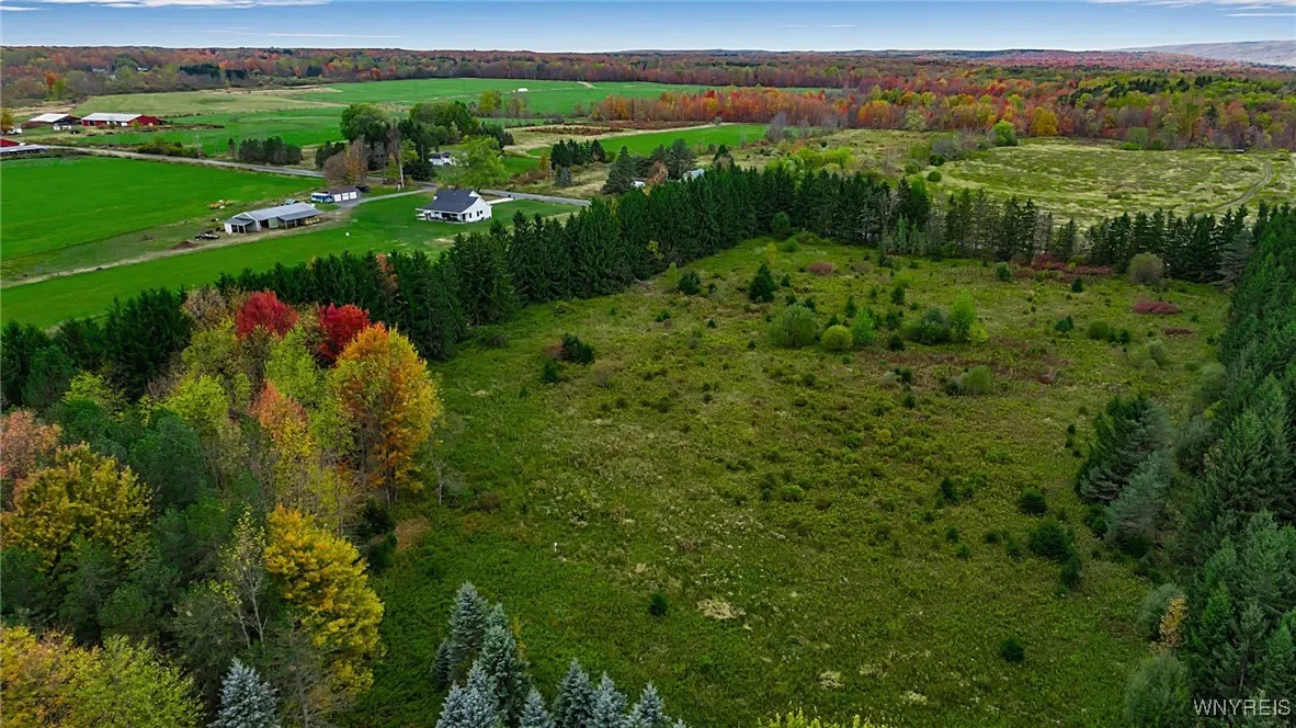 11303 Holland Glenwood Road, Holland, New York 140, Holland, New York 14080, ,Land,For Sale,11303 Holland Glenwood Road, Holland, New York 140,0,B1644742