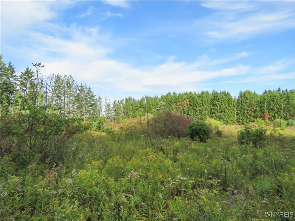 11303 Holland Glenwood Road, Holland, New York 140, Holland, New York 14080, ,Land,For Sale,11303 Holland Glenwood Road, Holland, New York 140,0,B1644742
