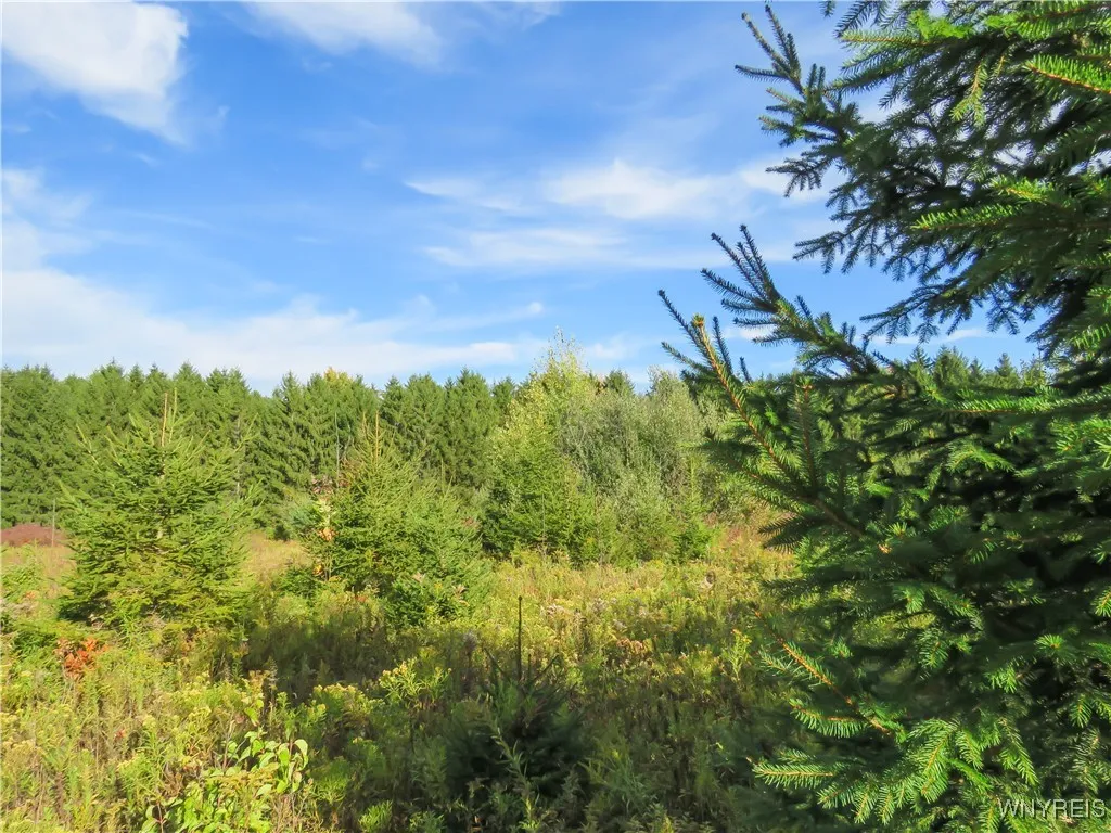 11303 Holland Glenwood Road, Holland, New York 140, Holland, New York 14080, ,Land,For Sale,11303 Holland Glenwood Road, Holland, New York 140,0,B1644742