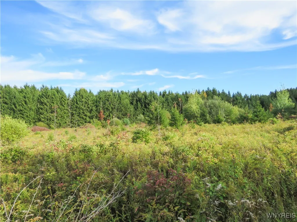 11303 Holland Glenwood Road, Holland, New York 140, Holland, New York 14080, ,Land,For Sale,11303 Holland Glenwood Road, Holland, New York 140,0,B1644742