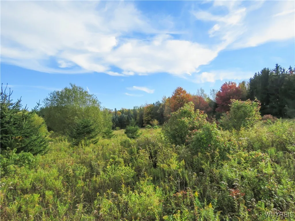 11303 Holland Glenwood Road, Holland, New York 140, Holland, New York 14080, ,Land,For Sale,11303 Holland Glenwood Road, Holland, New York 140,0,B1644742