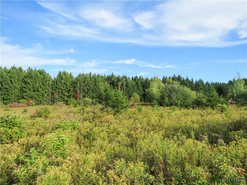 11303 Holland Glenwood Road, Holland, New York 140, Holland, New York 14080, ,Land,For Sale,11303 Holland Glenwood Road, Holland, New York 140,0,B1644742
