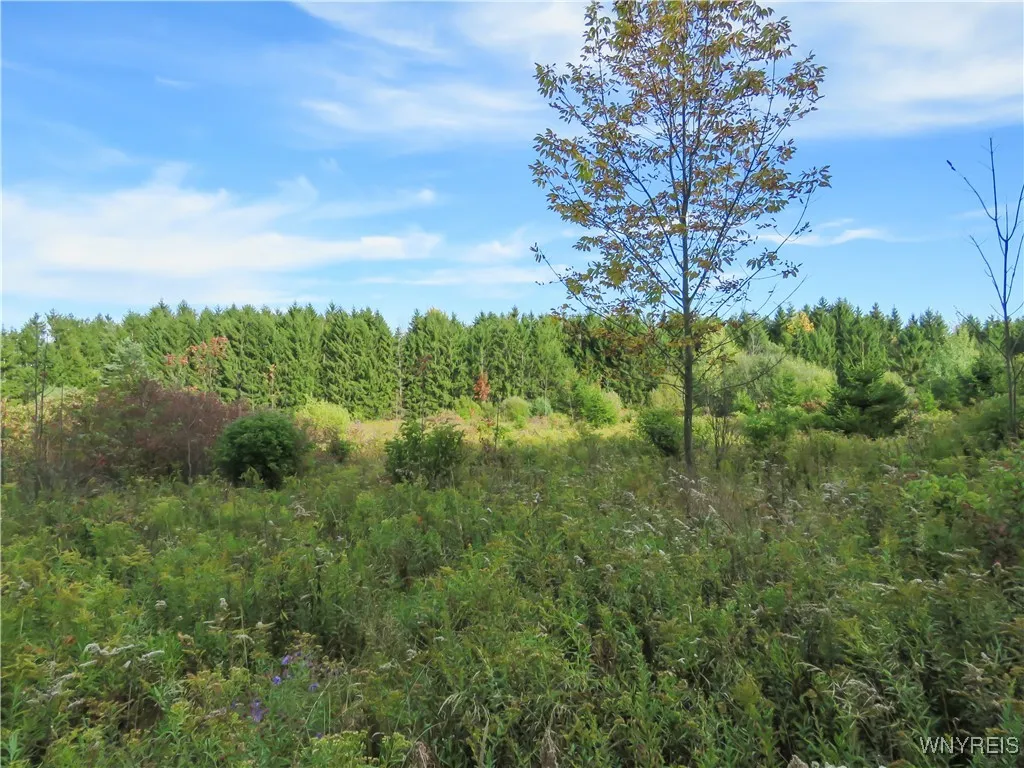 11303 Holland Glenwood Road, Holland, New York 140, Holland, New York 14080, ,Land,For Sale,11303 Holland Glenwood Road, Holland, New York 140,0,B1644742