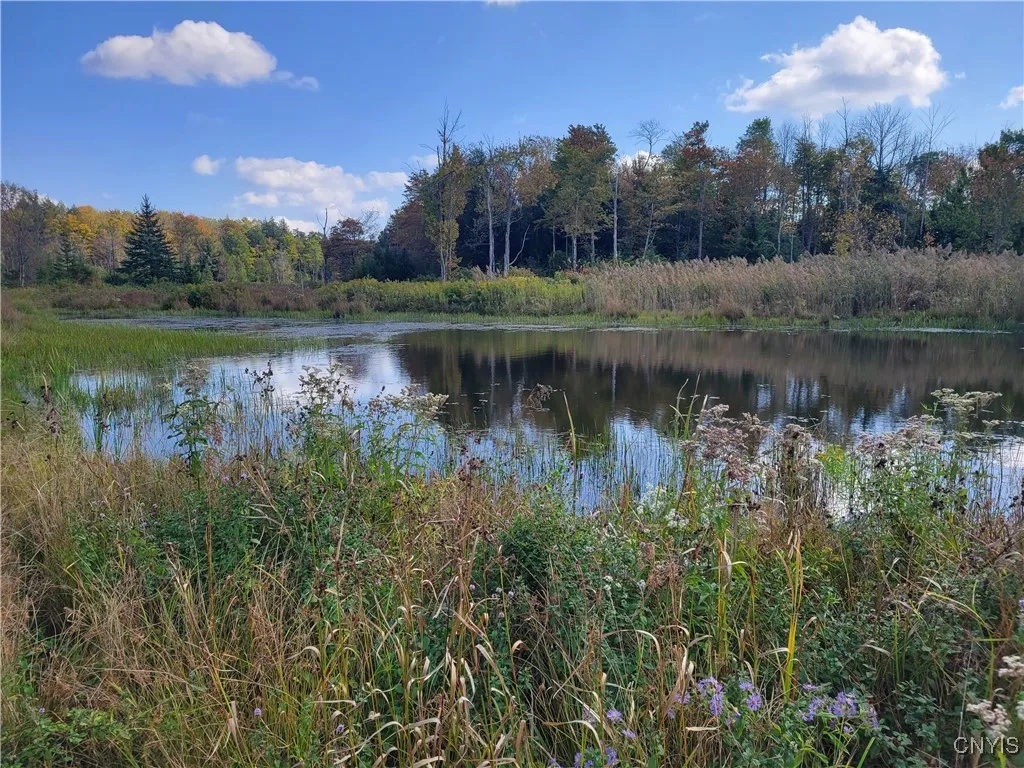 Lick Street, Summerhill, New York 13118, Summerhill, New York 13118, ,Land,For Sale,Lick Street, Summerhill, New York 13118,0,S1644873