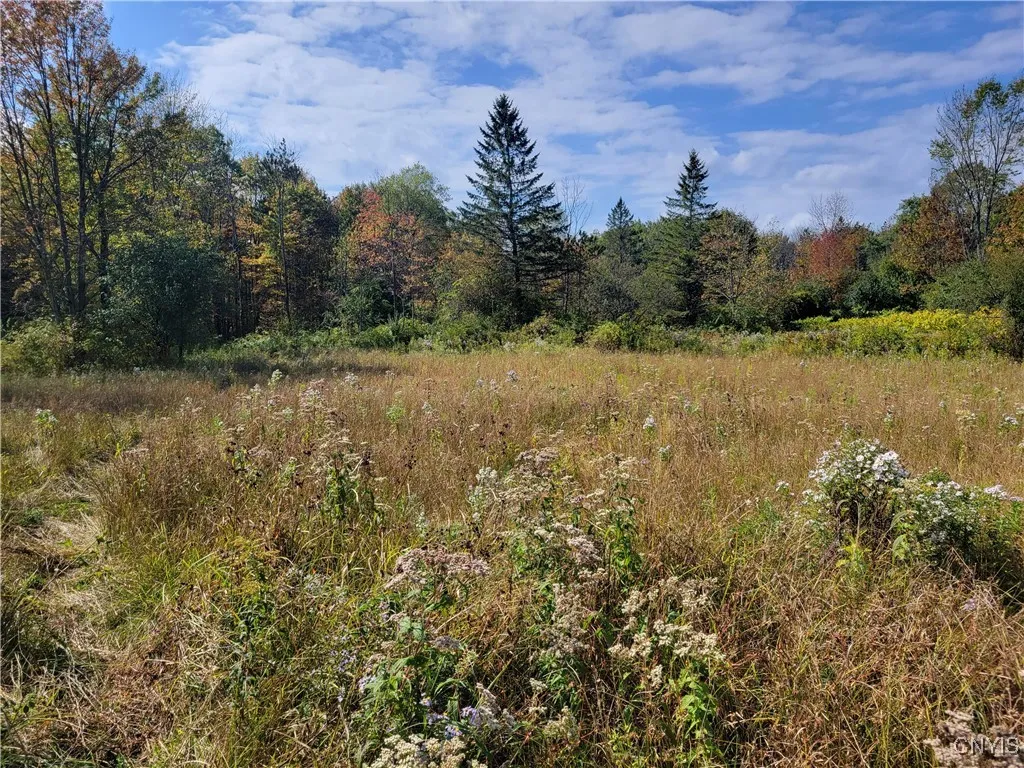 Lick Street, Summerhill, New York 13118, Summerhill, New York 13118, ,Land,For Sale,Lick Street, Summerhill, New York 13118,0,S1644873