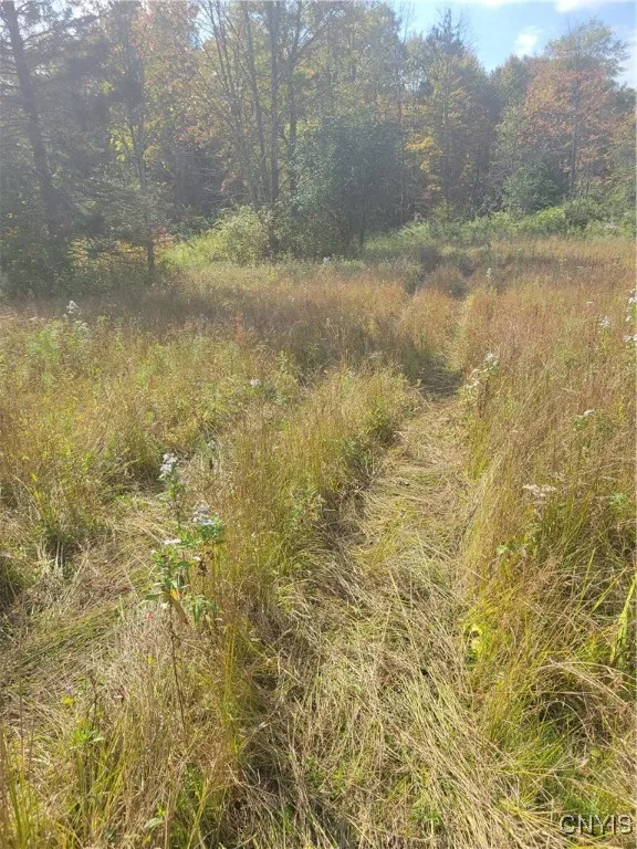 Lick Street, Summerhill, New York 13118, Summerhill, New York 13118, ,Land,For Sale,Lick Street, Summerhill, New York 13118,0,S1644873