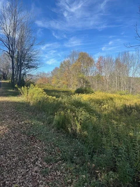 Humphrey Road, New Berlin, New York 13815, New Berlin, New York 13815, ,Land,For Sale,Humphrey Road, New Berlin, New York 13815,0,R1644746