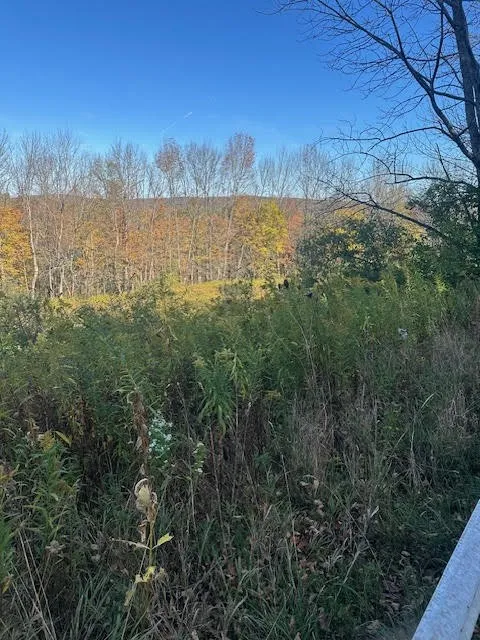 Humphrey Road, New Berlin, New York 13815, New Berlin, New York 13815, ,Land,For Sale,Humphrey Road, New Berlin, New York 13815,0,R1644746