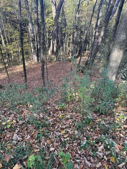 Humphrey Road, New Berlin, New York 13815, New Berlin, New York 13815, ,Land,For Sale,Humphrey Road, New Berlin, New York 13815,0,R1644746