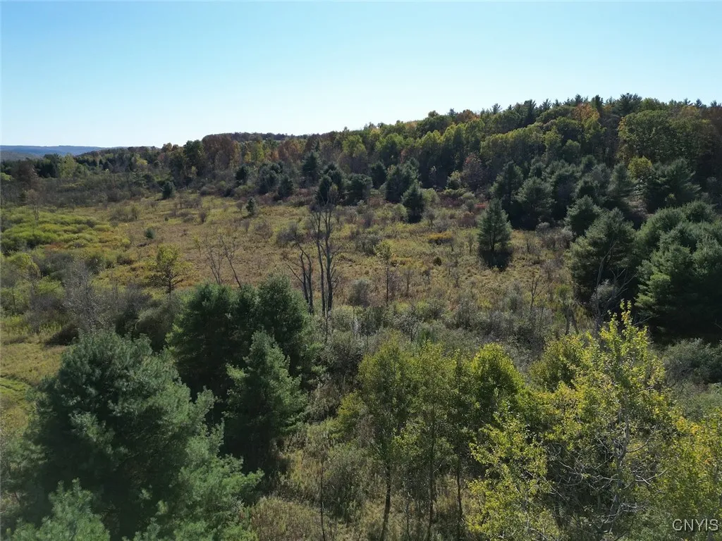 County Road 96, Wayne, New York 14840, Wayne, New York 14840, ,Land,For Sale,County Road 96, Wayne, New York 14840,0,S1644950