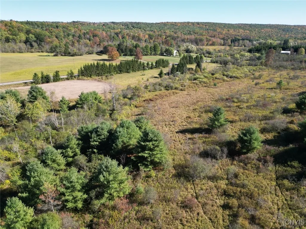 County Road 96, Wayne, New York 14840, Wayne, New York 14840, ,Land,For Sale,County Road 96, Wayne, New York 14840,0,S1644950