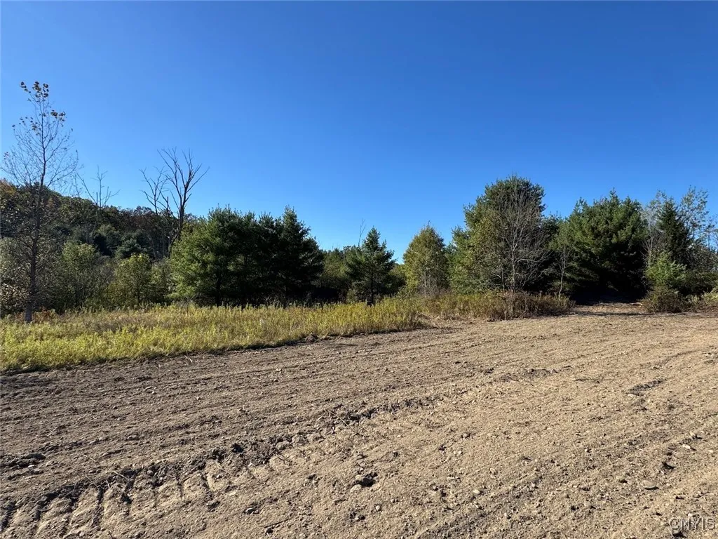 County Road 96, Wayne, New York 14840, Wayne, New York 14840, ,Land,For Sale,County Road 96, Wayne, New York 14840,0,S1644950