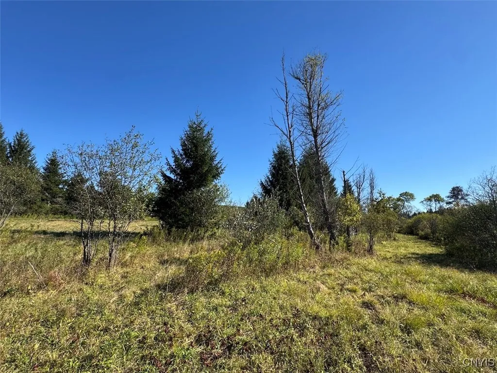 County Road 96, Wayne, New York 14840, Wayne, New York 14840, ,Land,For Sale,County Road 96, Wayne, New York 14840,0,S1644950
