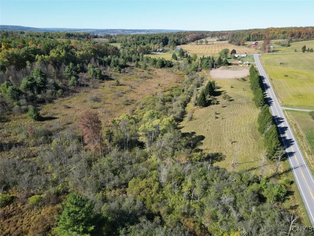 County Road 96, Wayne, New York 14840, Wayne, New York 14840, ,Land,For Sale,County Road 96, Wayne, New York 14840,0,S1644958