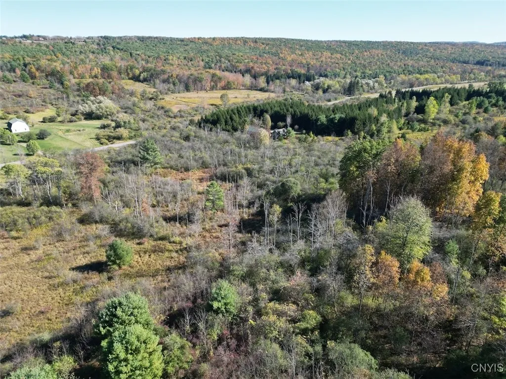 County Road 96, Wayne, New York 14840, Wayne, New York 14840, ,Land,For Sale,County Road 96, Wayne, New York 14840,0,S1644958