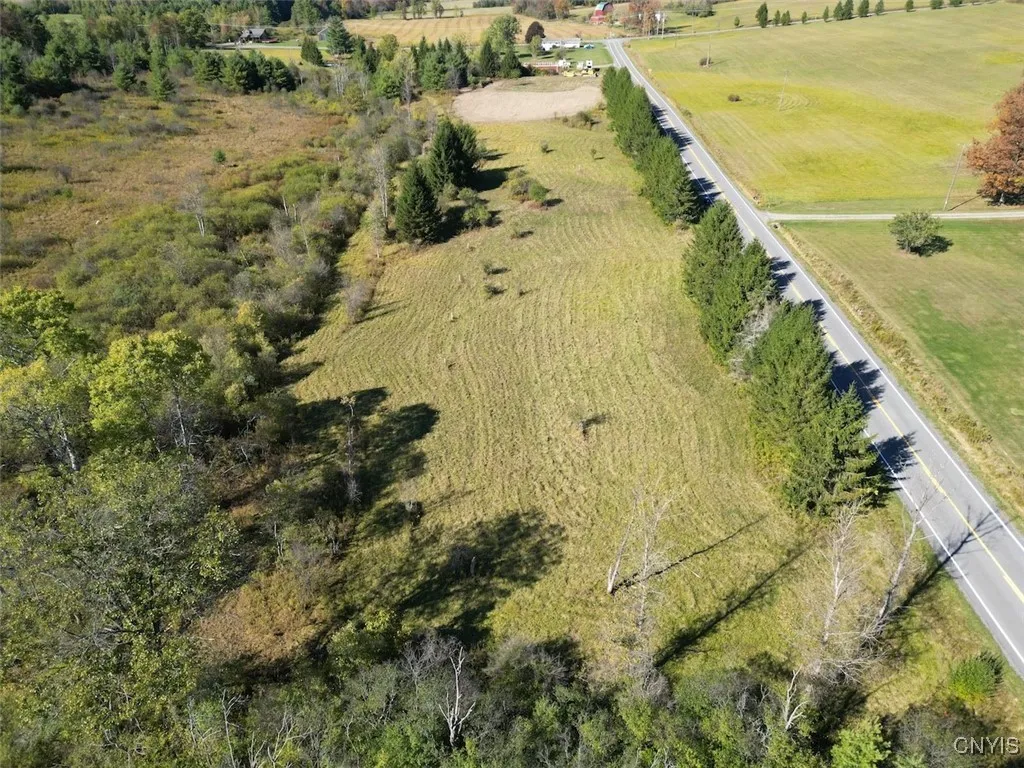 County Road 96, Wayne, New York 14840, Wayne, New York 14840, ,Land,For Sale,County Road 96, Wayne, New York 14840,0,S1644958