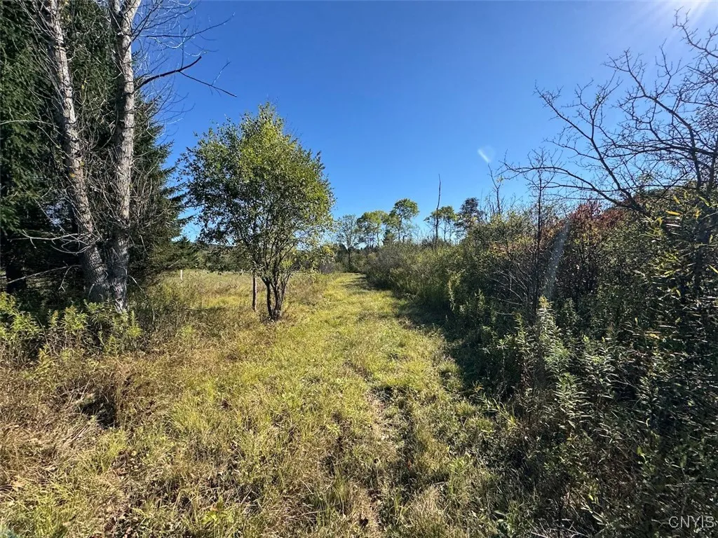 County Road 96, Wayne, New York 14840, Wayne, New York 14840, ,Land,For Sale,County Road 96, Wayne, New York 14840,0,S1644958