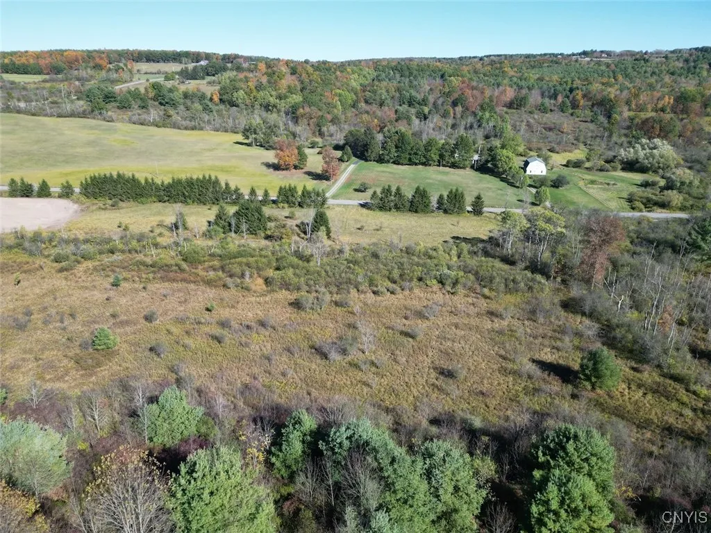 County Road 96, Wayne, New York 14840, Wayne, New York 14840, ,Land,For Sale,County Road 96, Wayne, New York 14840,0,S1644958