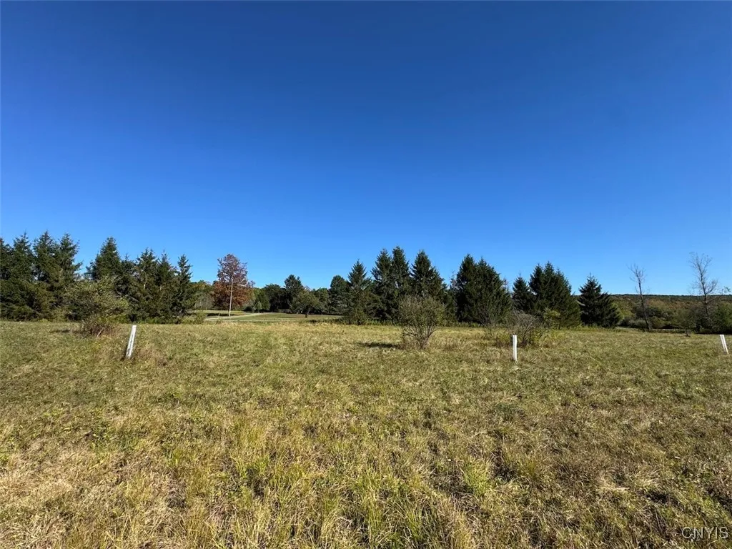County Road 96, Wayne, New York 14840, Wayne, New York 14840, ,Land,For Sale,County Road 96, Wayne, New York 14840,0,S1644958