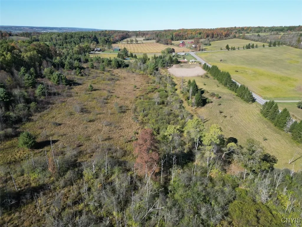 County Road 96, Wayne, New York 14840, Wayne, New York 14840, ,Land,For Sale,County Road 96, Wayne, New York 14840,0,S1644958