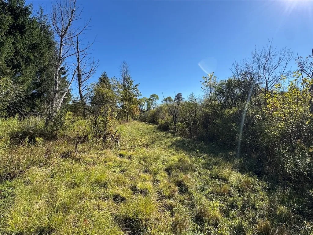 County Road 96, Wayne, New York 14840, Wayne, New York 14840, ,Land,For Sale,County Road 96, Wayne, New York 14840,0,S1644958