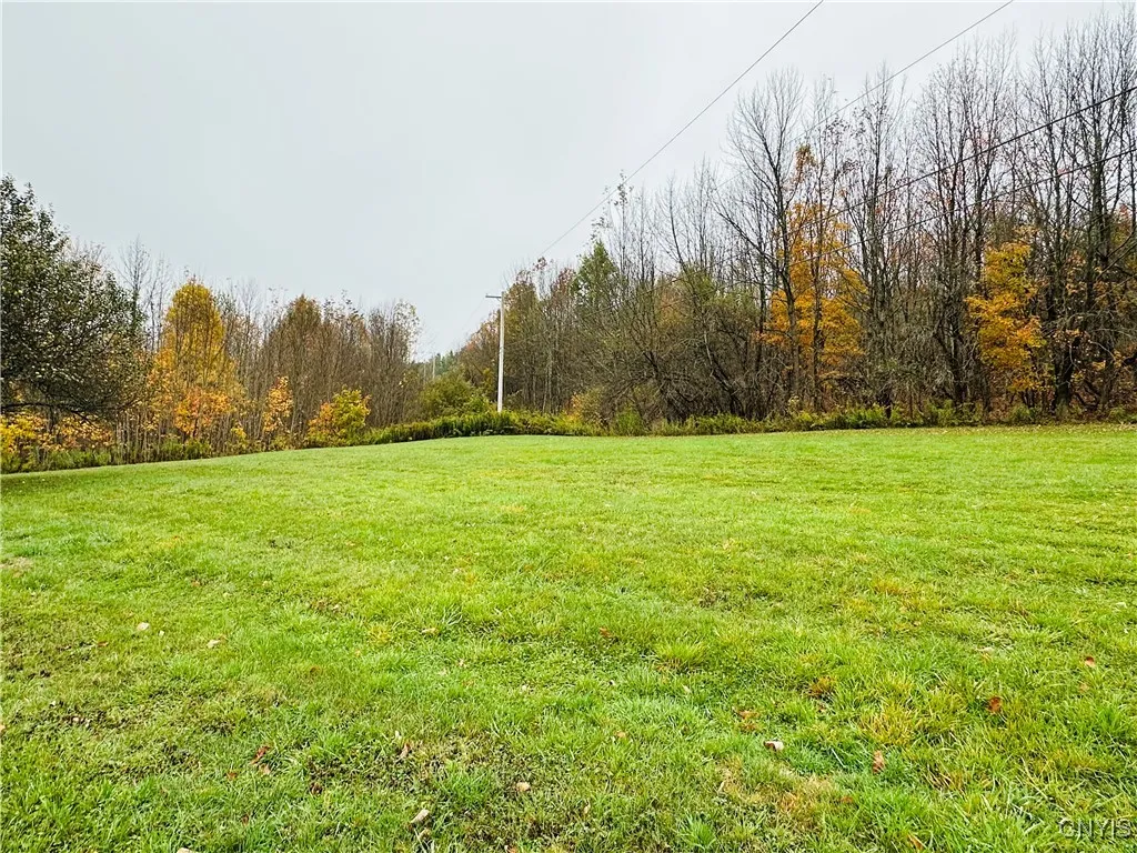 5373 Carpenter Road, Turin, New York 13473, Turin, New York 13473, 1 Bedroom Bedrooms, ,1 BathroomBathrooms,Land,For Sale,5373 Carpenter Road, Turin, New York 13473,0,S1644953