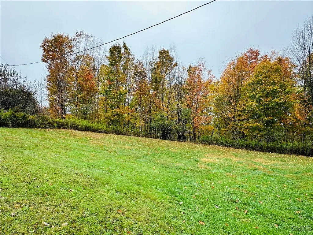 5373 Carpenter Road, Turin, New York 13473, Turin, New York 13473, 1 Bedroom Bedrooms, ,1 BathroomBathrooms,Land,For Sale,5373 Carpenter Road, Turin, New York 13473,0,S1644953