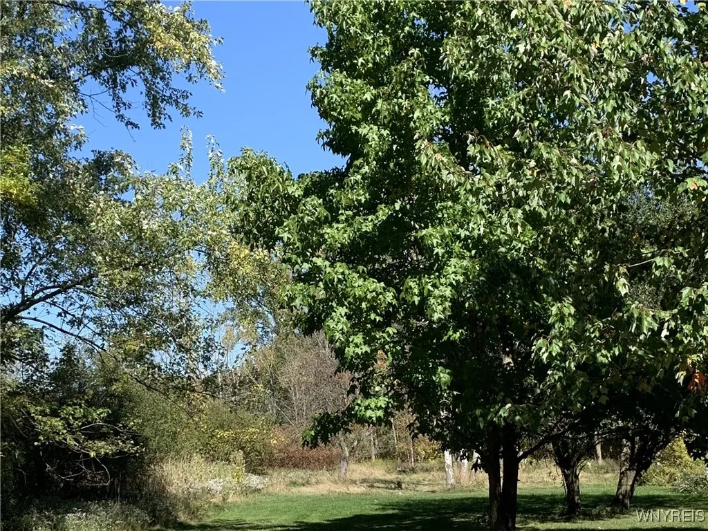 1291 Bullis Road, Elma, New York 14059, Elma, New York 14059, 2 Bedrooms Bedrooms, 5 Rooms Rooms,1 BathroomBathrooms,Residential,For Sale,1291 Bullis Road, Elma, New York 14059,0,B1644907