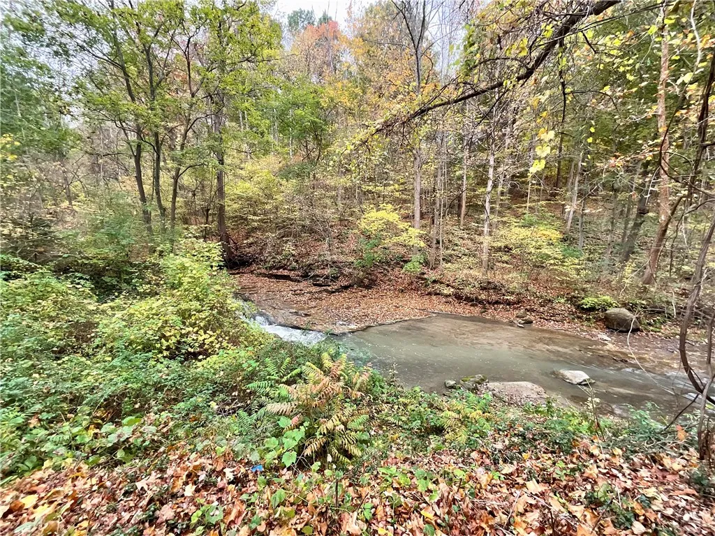 10156 Stones Falls Road, North Dansville, New York, North Dansville, New York 14437, 3 Bedrooms Bedrooms, 9 Rooms Rooms,2 BathroomsBathrooms,Residential,For Sale,10156 Stones Falls Road, North Dansville, New York,0,R1644580