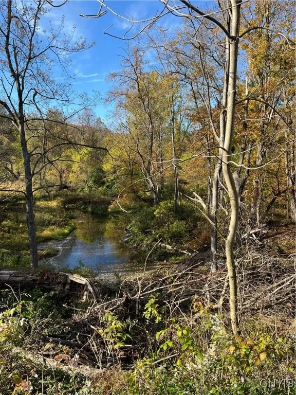 View of creek from backyard