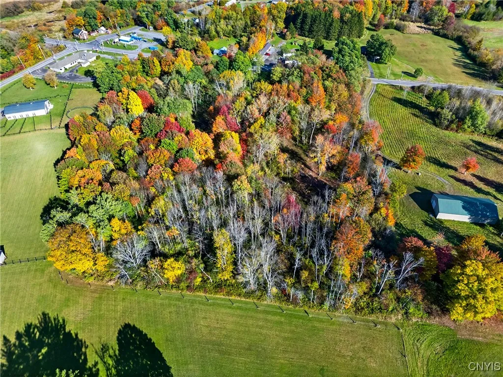 8439 State Route 3, Sandy Creek, New York 13142, Sandy Creek, New York 13142, ,Land,For Sale,8439 State Route 3, Sandy Creek, New York 13142,0,S1644954