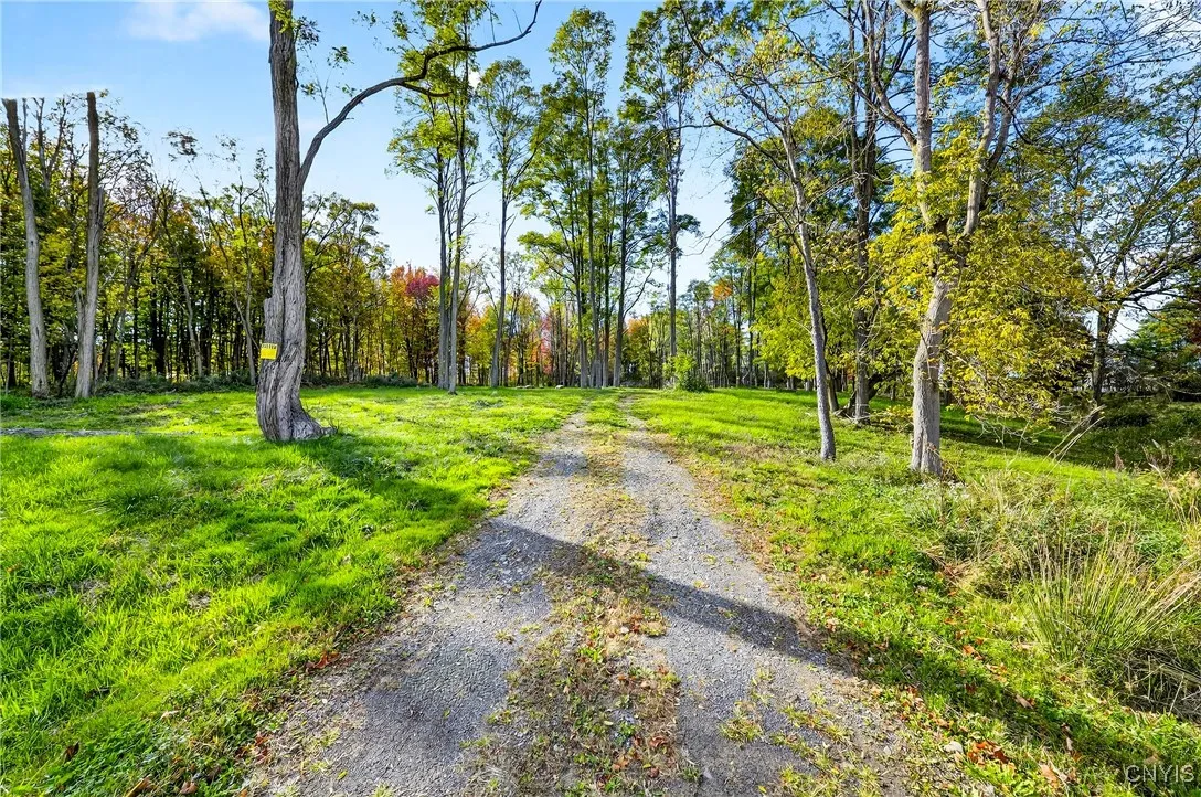 8439 State Route 3, Sandy Creek, New York 13142, Sandy Creek, New York 13142, ,Land,For Sale,8439 State Route 3, Sandy Creek, New York 13142,0,S1644954