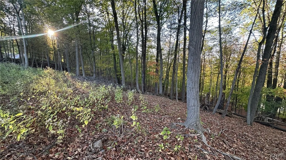 00 Nob Road, Utica, New York 13501, Utica, New York 13501, ,Land,For Sale,00 Nob Road, Utica, New York 13501,0,S1645148