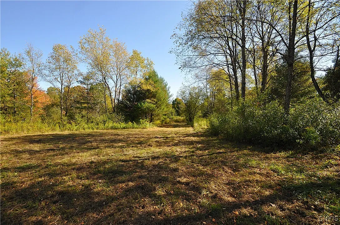 2791 County Route 17, Williamstown, New York 13493, Williamstown, New York 13493, 1 Room Rooms,Land,For Sale,2791 County Route 17, Williamstown, New York 13493,0,S1645046