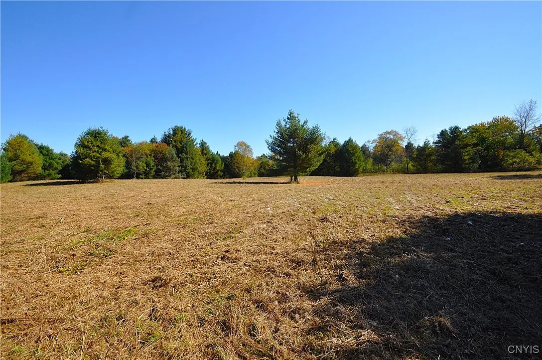 2791 County Route 17, Williamstown, New York 13493, Williamstown, New York 13493, 1 Room Rooms,Land,For Sale,2791 County Route 17, Williamstown, New York 13493,0,S1645046