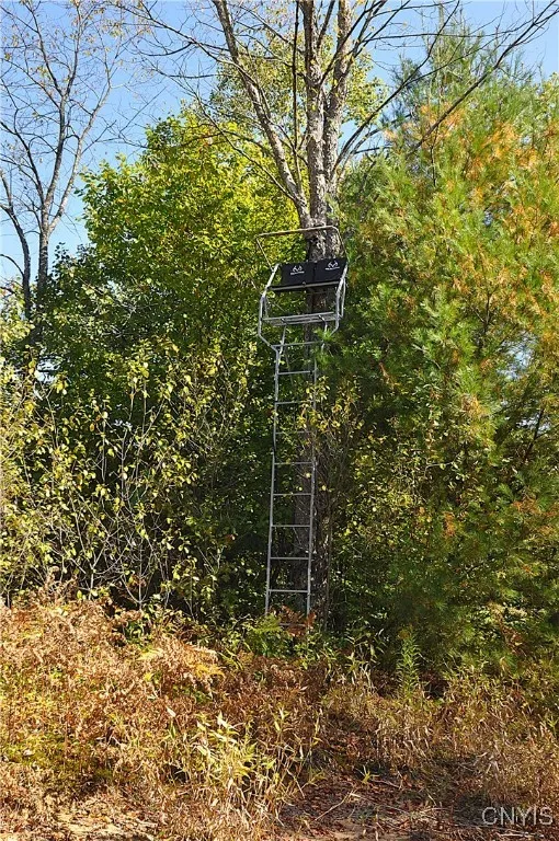 2791 County Route 17, Williamstown, New York 13493, Williamstown, New York 13493, 1 Room Rooms,Land,For Sale,2791 County Route 17, Williamstown, New York 13493,0,S1645046